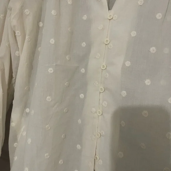 Mango - Picture 3 of 5